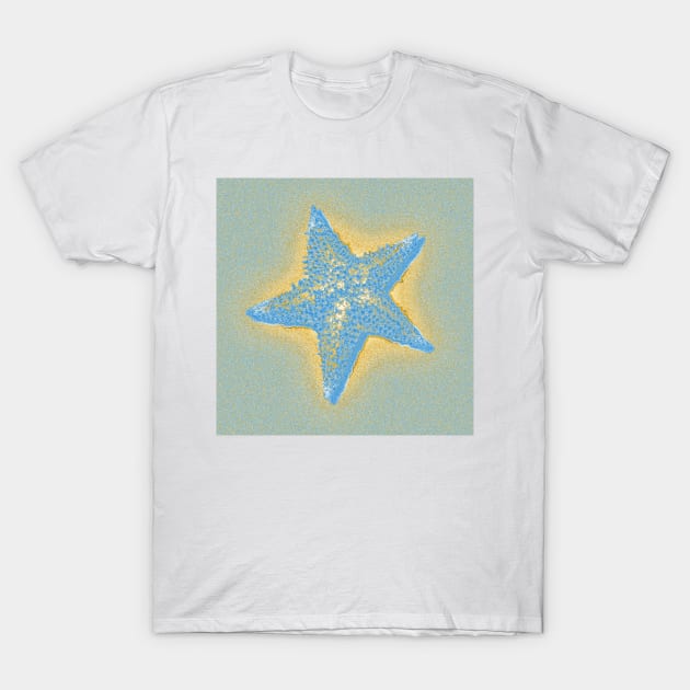 Starfish T-Shirt by Degroom